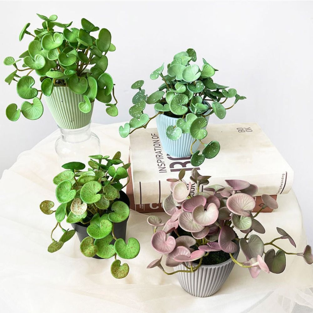 Soft Glue Artificial Plant EVA - Home Office Layout 评论和价格