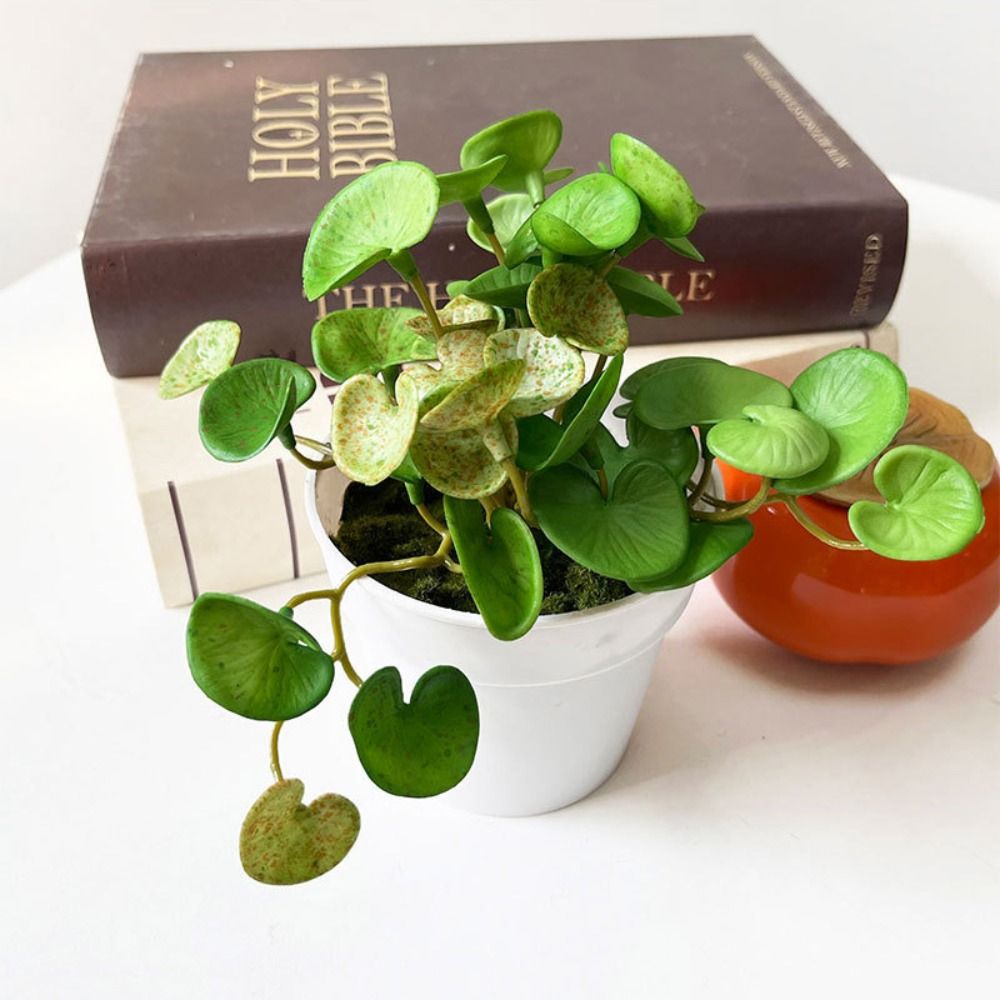 Soft Glue Artificial Plant EVA - Home Office Layout 评论和价格
