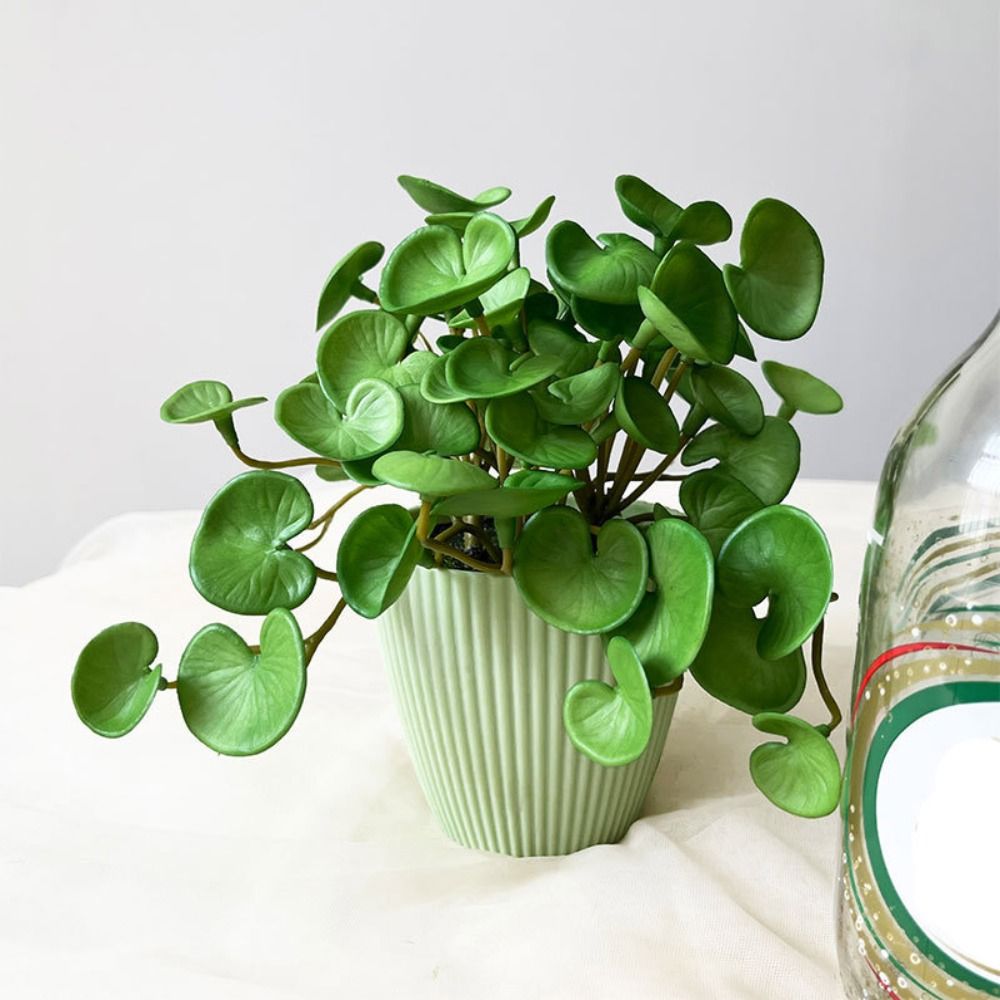 Soft Glue Artificial Plant EVA - Home Office Layout 评论和价格