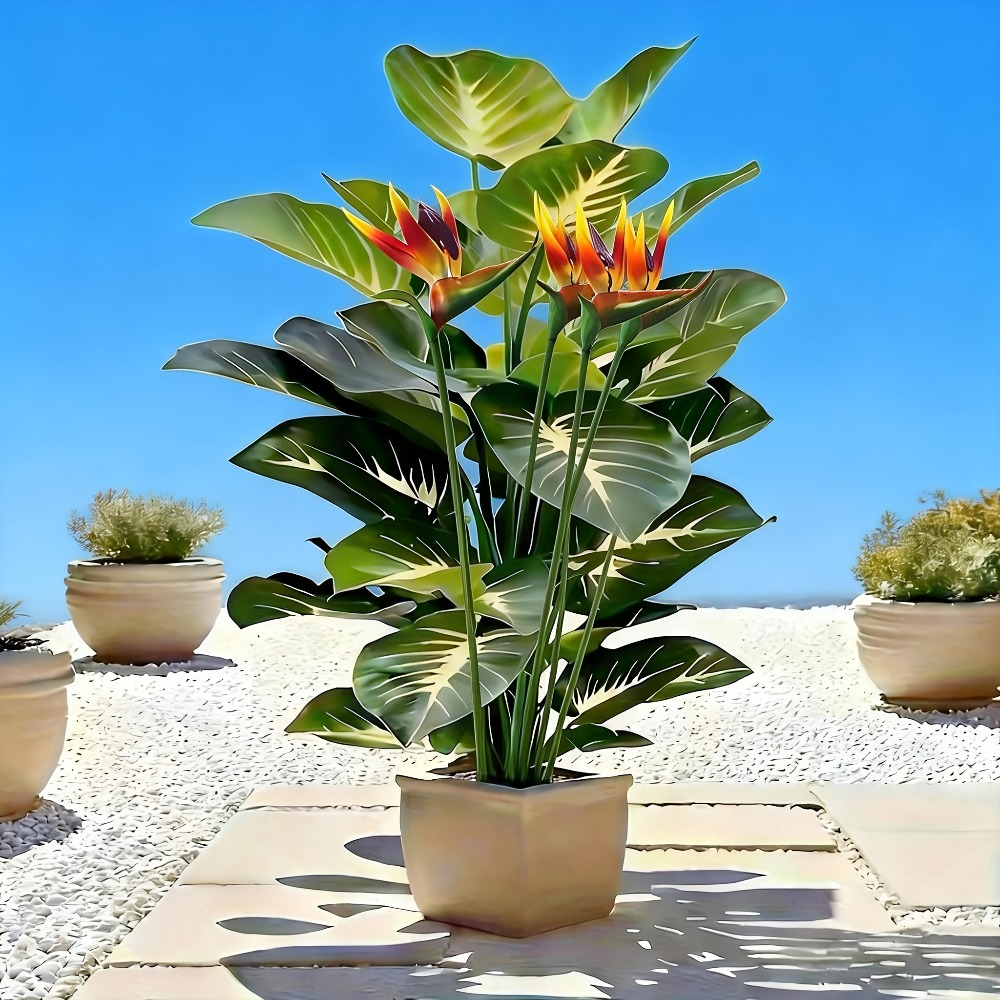 Artificial Bird of Paradise an - Home Office Layout 评论和价格
