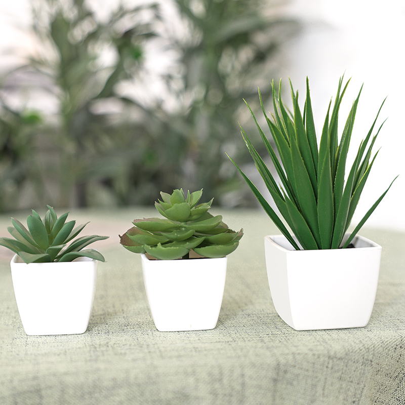 3PCS Artificial Evergreen Plan - Home Office Layout 评论和价格