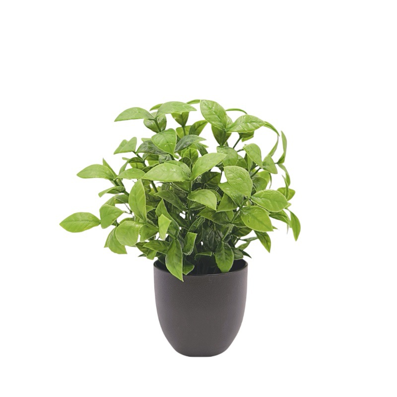 Simulation Green Plant Bonsai  - Home Office Layout 评论和价格